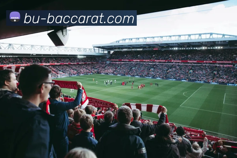 App Interface Preview