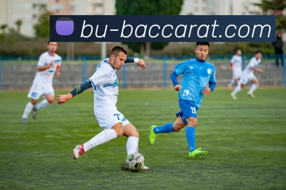 百家乐官网APP 封面图